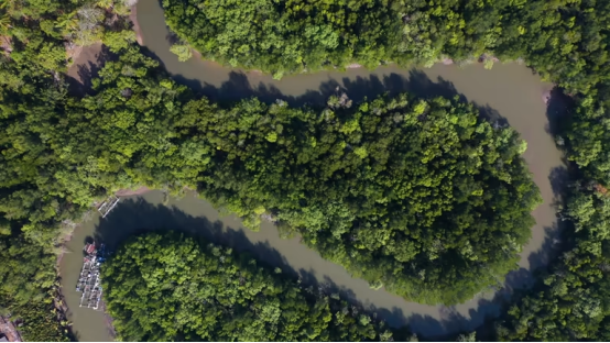 The Unbridged Giant: Why No Bridge Crosses the Amazon River