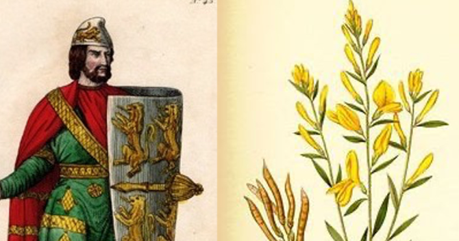 The Plantagenet Dynasty: Three Centuries of Medieval Power