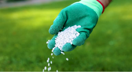 The Chemical Industry: Catalyzing Global Economic Evolution