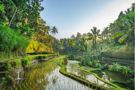 A Comprehensive Guide to the Diverse Nations of Southeast Asia